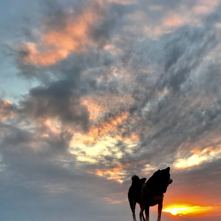 369f6641 6201 4360 9237 607717e0eabf 1516440176668