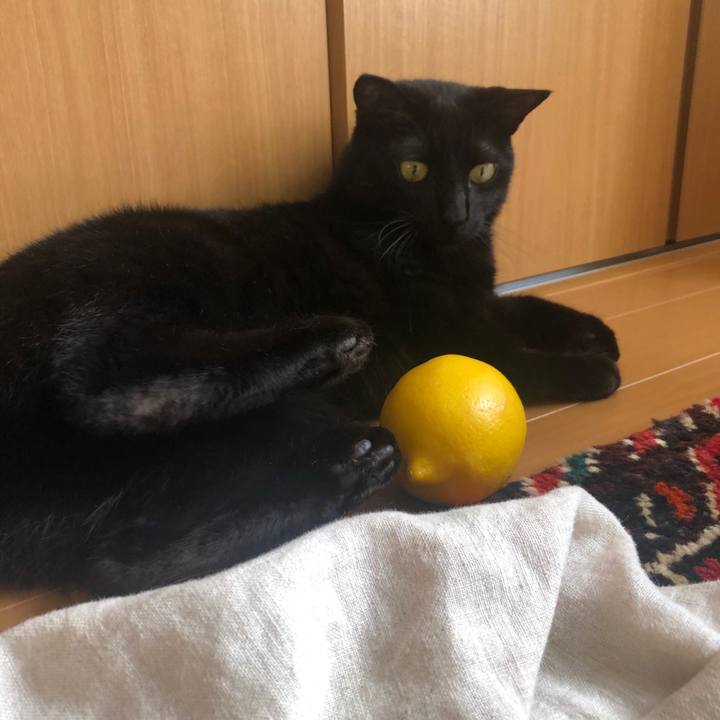 369f75a9 9412 4a65 be89 f0d701f5863d 1589168549509