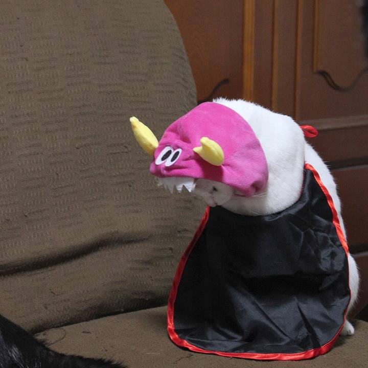 369fb337 0928 4dad a95d fc93472c46c4 1605487724169