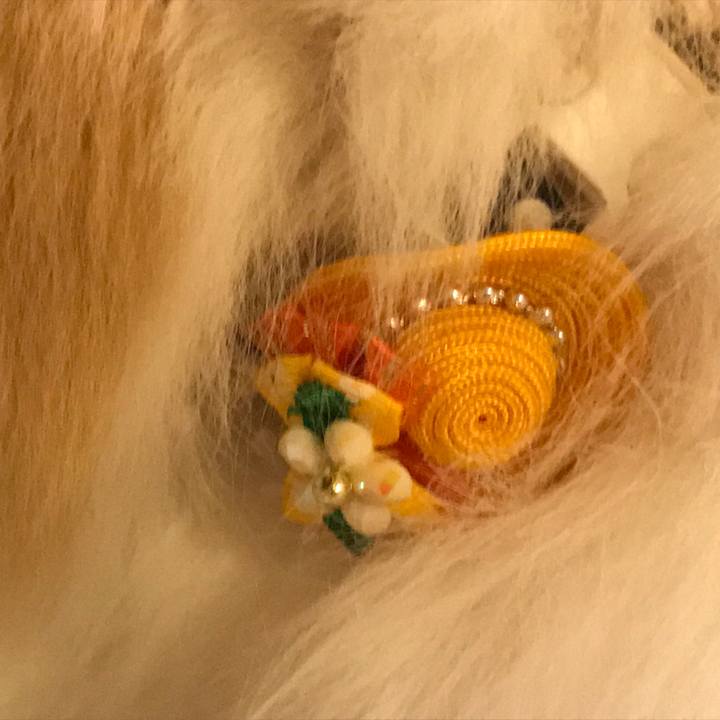 369fb4f7 913a 48d3 9d70 2eea3d308a26 1531571964769