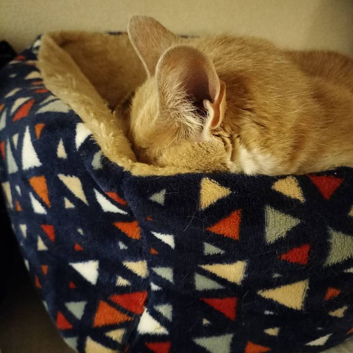 369fc5ce 15dc 46d8 88ef f78868a6262d 1647088016059