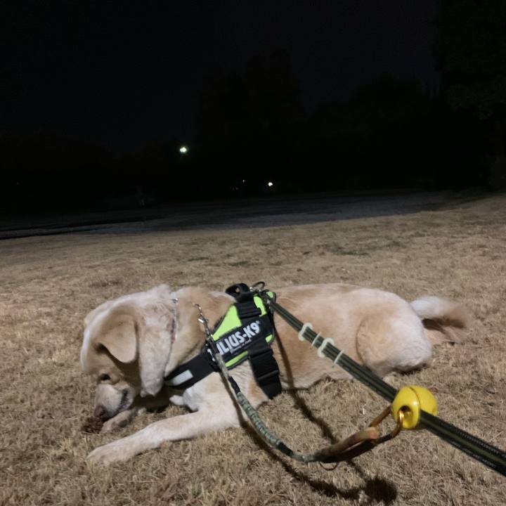 369ff613 0ba6 4eb2 999f 82aaccb12707 1549627498259