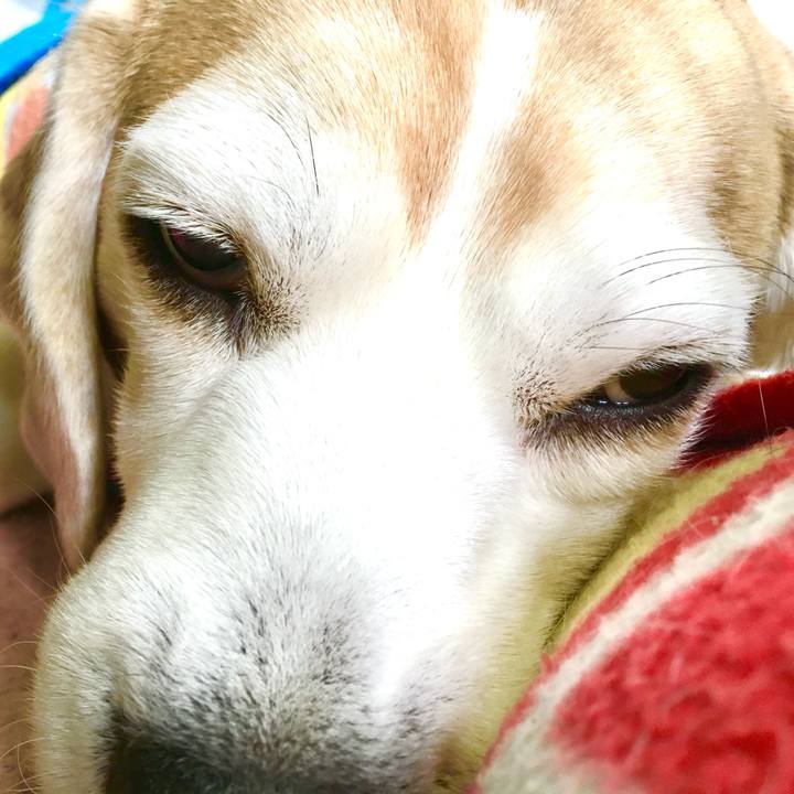 36a00f20 4c3b 4701 ae6d 801ab03e0a81 1770430397978