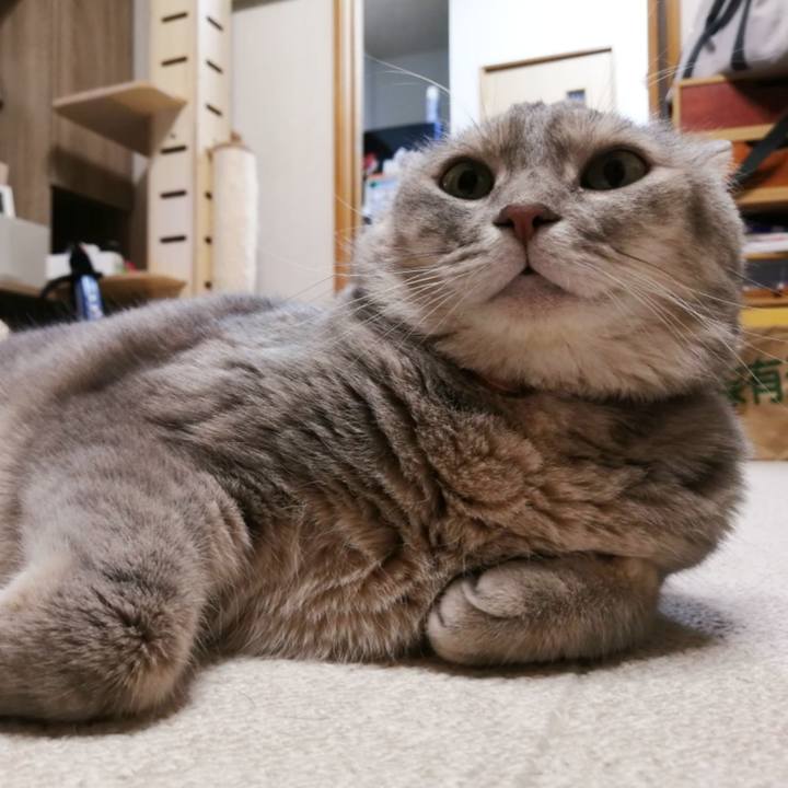 36a01a60 8635 4dac 90bb 708701baf0f9 1598932513735