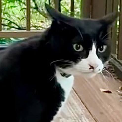 36a03b3e 62b4 4e20 8fd7 dbd4aa711249 1759476892249