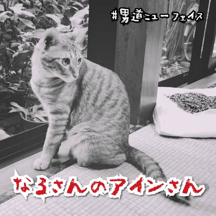 36a062c7 eb90 4779 8fba b30d66782a53 1566569286257