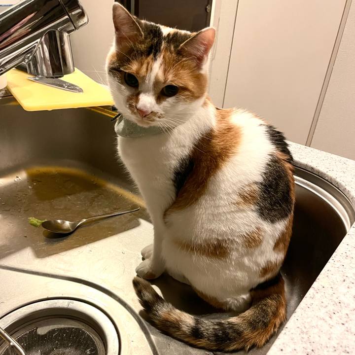 36a07c28 43c8 423d 9e8e 259081db4c1e 1670297043034