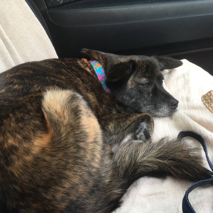 36a0b744 8c8e 460b 82c9 e6ac6809594f 1532868474473