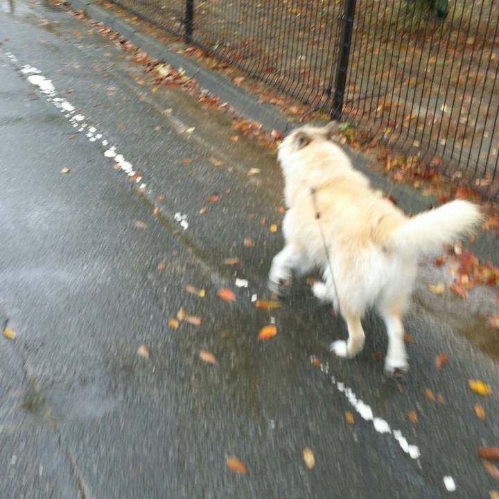 36a0c9b5 76db 49e8 a5f3 7a113ebd89e4 1509239168106