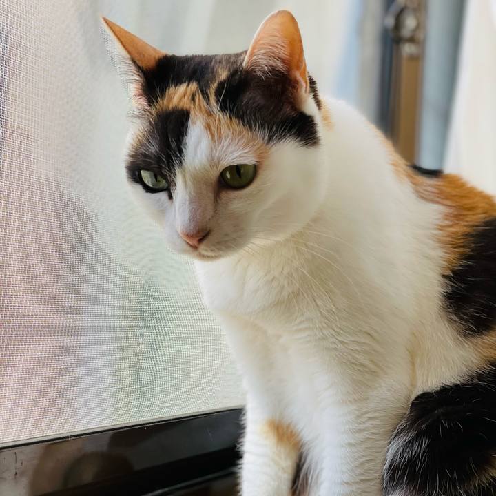 36a0caec 9518 4a63 8a36 877d717dde98 1656642310474