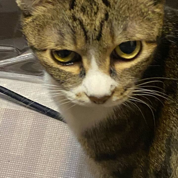 36a13bf5 5f53 41fa aaeb afea47633cf3 1614675574693