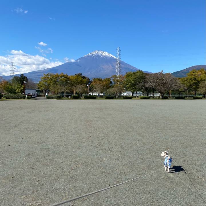 36a1abf5 521e 48b6 8adc 3680d6be222a 1603602638739