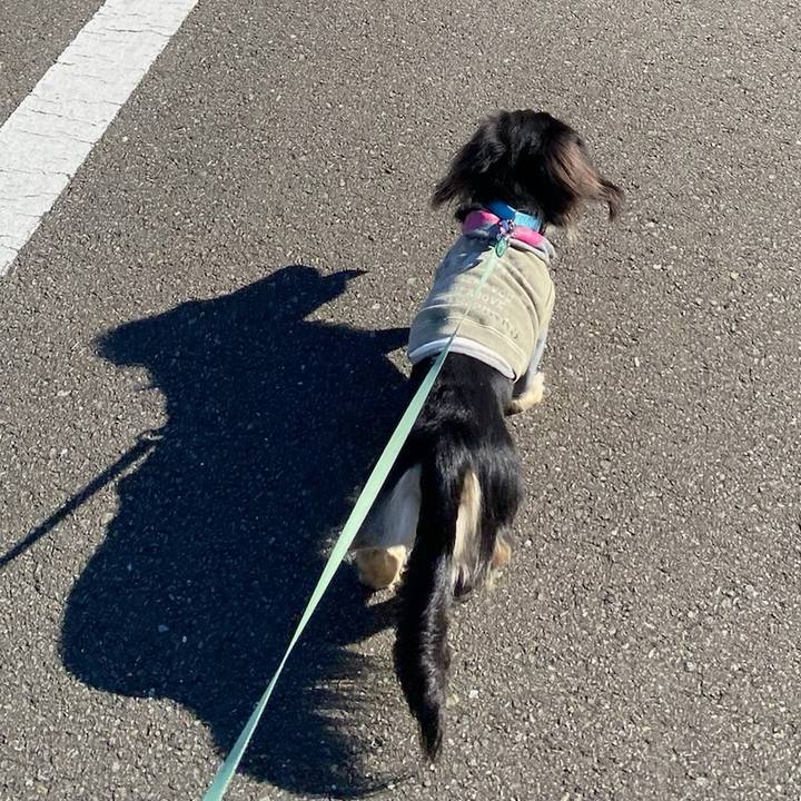 36a1c428 0ff6 47e5 b30c 9ef00b53f4c4 1704588803180