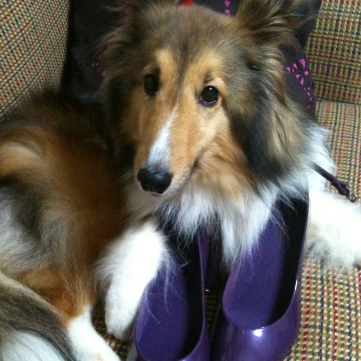 36a1e744 ab46 4072 854f 1b921b96d913 1537454729072