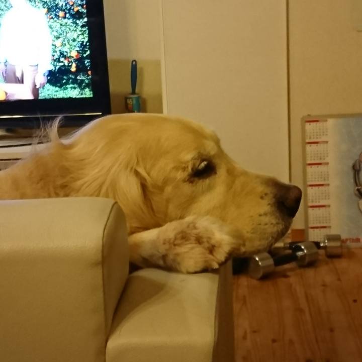 36a1e9e3 3508 4e1b 9147 d1cf589afa84 1548385483114