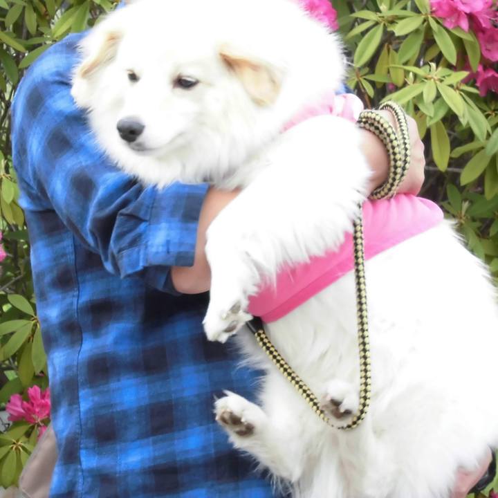 36a1f8ac 3b8e 41eb 9533 cfb8441e0552 1760408695083