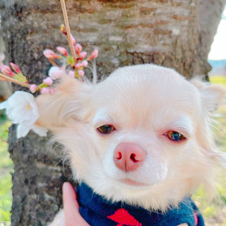 36a243fd 6458 47c1 8ebc 06d54cd31444 1648113826329