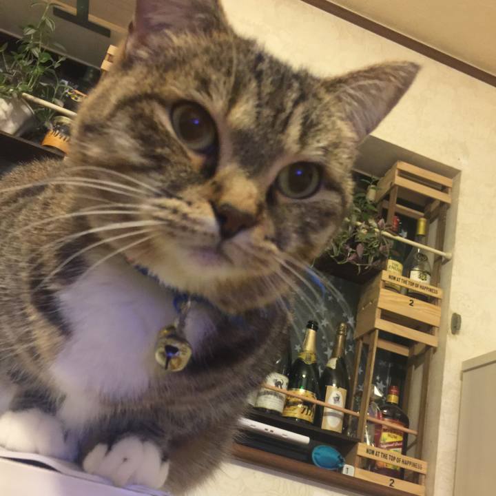 36a2675a f9bd 49b9 9abe 4c77c895adf4 1550732326990