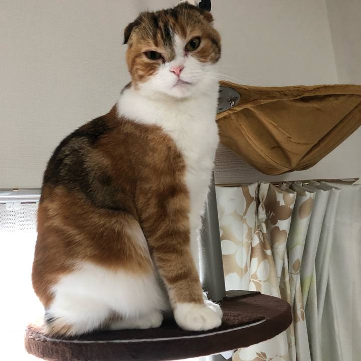 36a2716f 645b 459c 9849 011c785e0f08 1523785798524