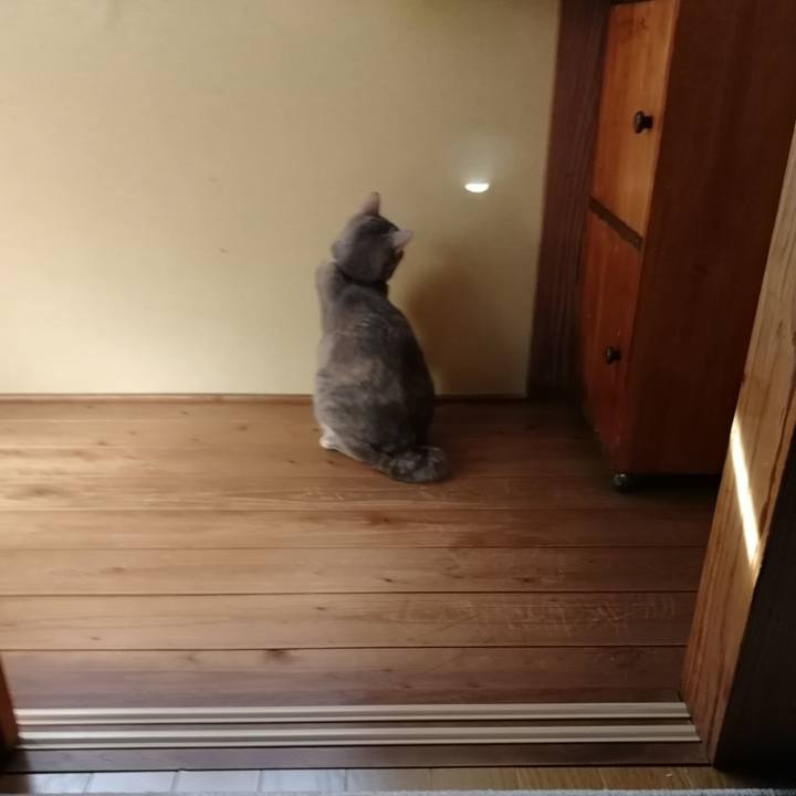 36a28484 628e 477f ace9 4274faf3487f 1530624067547