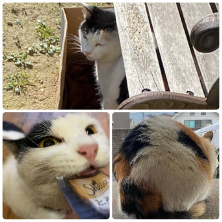 36a2972a 90cb 4441 b4a2 3592087aa043 1641983997382