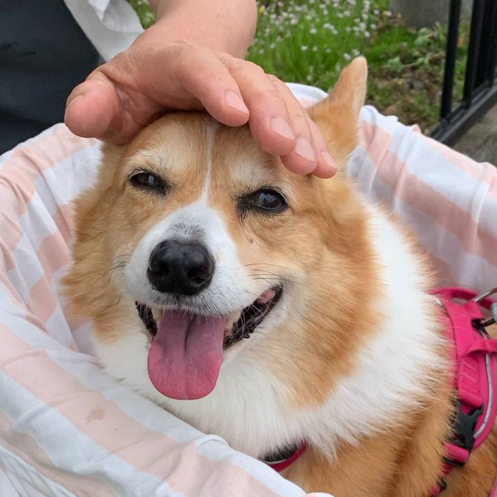 36a2ae33 25f4 4506 aa26 df7a9ff52fee 1714961526563