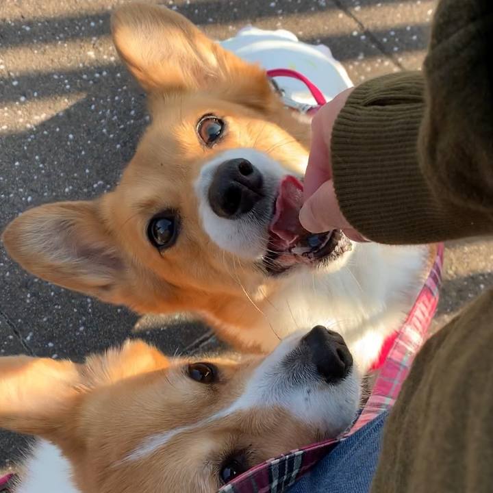 36a2afa8 1568 4c38 9e6a b41e0b25632b 1613889044321