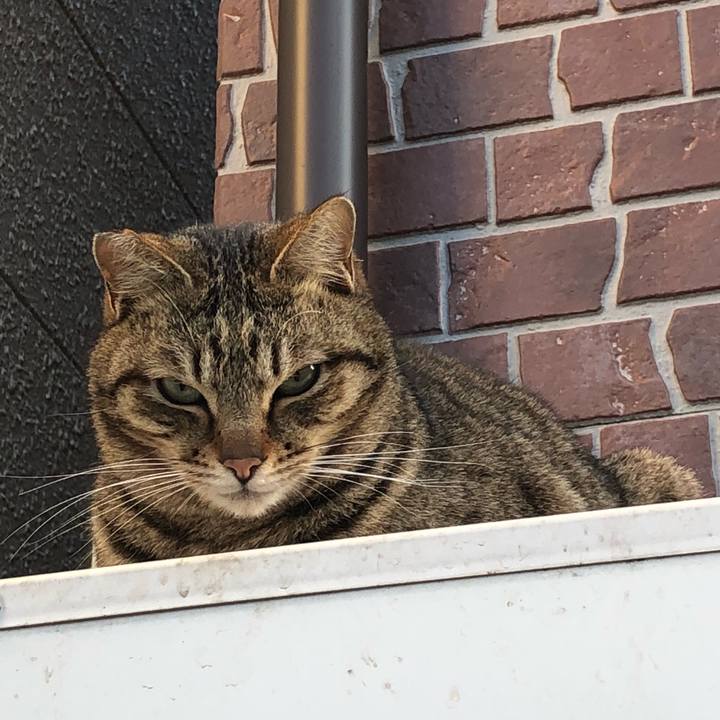 36a2bfe2 f15c 47ff 8bc3 f0bcac6befff 1520673056267