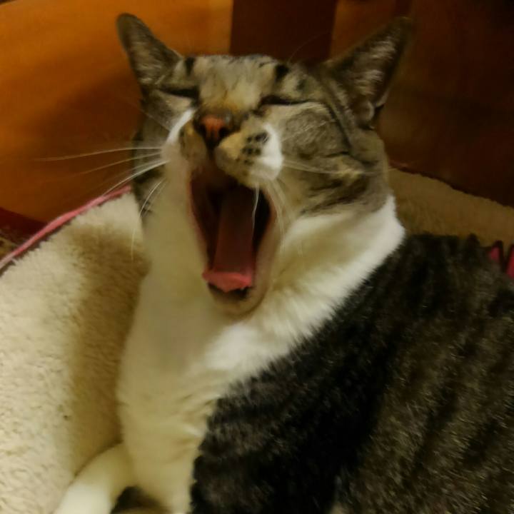 36a2d65f 7ab2 4efc be4d 9966d9a95118 1515763583313