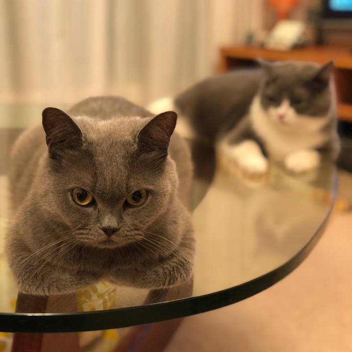 36a2ec28 9e5c 4e33 99be 47b6e069eebc 1532479396813