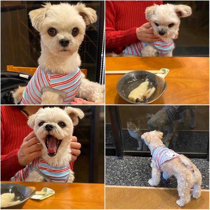 36a39b70 13ca 477d 84c2 f553fde4e808 1574594289822