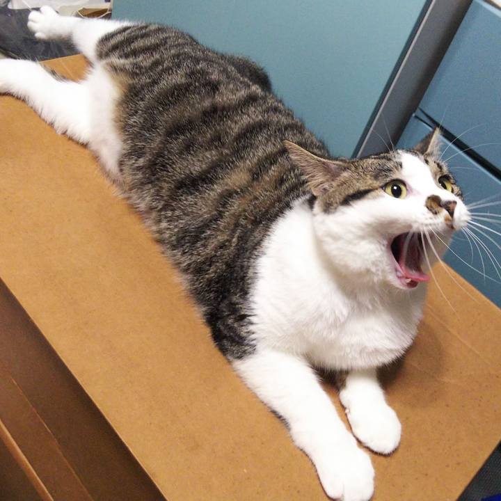 36a3a79a c844 4b33 aed5 b41612928c74 1627296284212