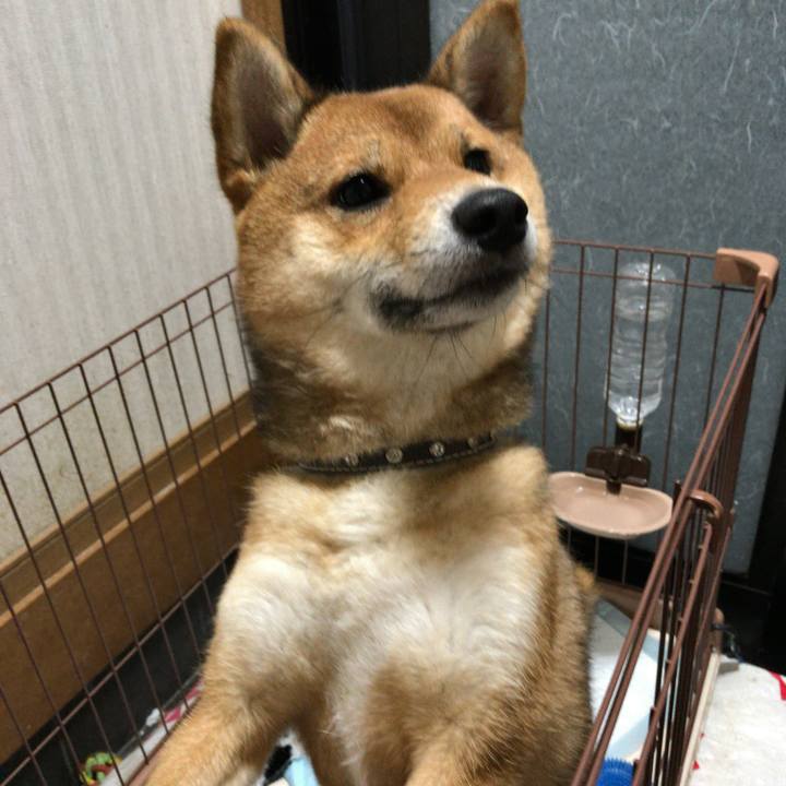 36a3af5f f692 4c63 93b9 63f620b04fc0 1522934832659