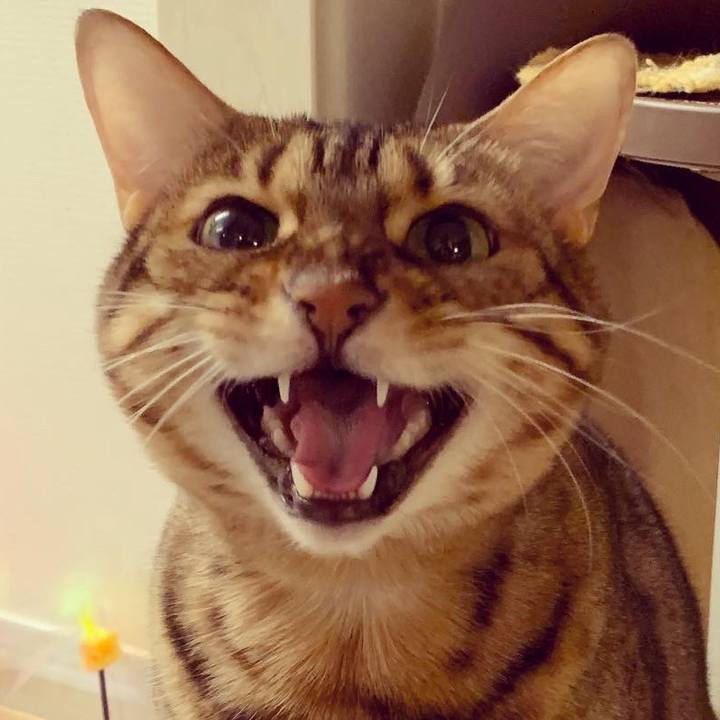 36a3b938 e601 4940 ac2b 5c79f6fa21ed 1575154181310