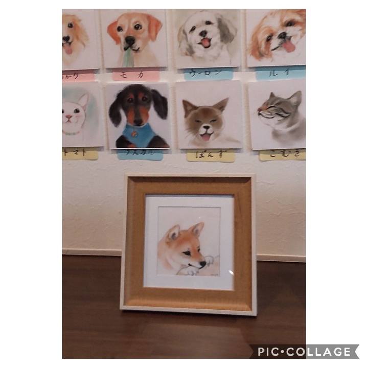 36a3e2a8 1056 4bdf b32c c21414d96cd1 1665622439455