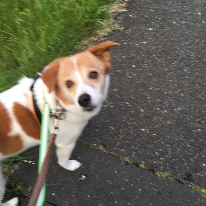 36a3f4ce 8769 428b 84b3 a5ee423f6eb0 1561388693915