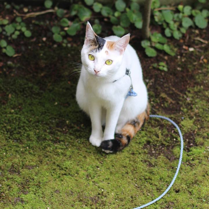 36a42590 a6e0 47d2 adaa 288ebbc4e0b7 1569279618716