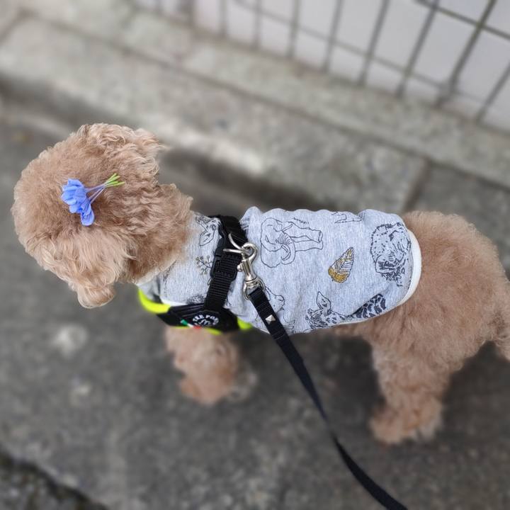 36a45b54 fdbb 4cc7 824e 4aa10ecb6889 1630218267241