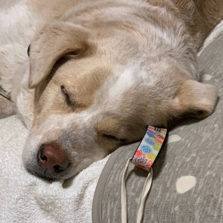 36a45d07 c5b3 4304 ae07 8bb6aefabf62 1548507843562