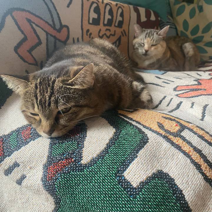 36a46aac b47f 4dcf be04 6957de109cf1 1729903158753