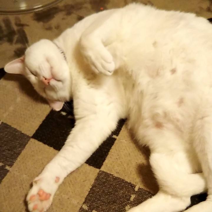 36a4830c 60d8 4ad4 9d58 fdad970232ba 1609242852277