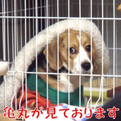 36a4d84a 6848 4bd0 8fd2 c20158bbf53a 1707093579789