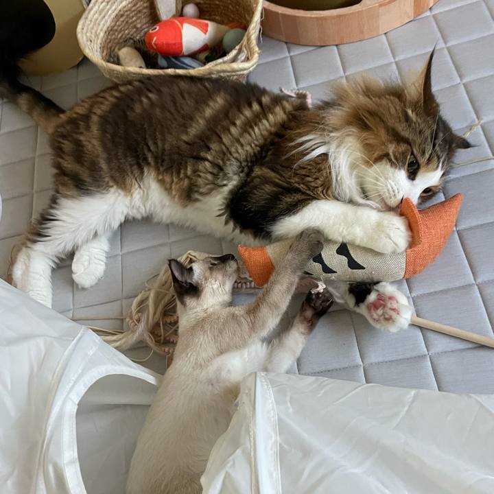 36a4f863 6d09 4f87 b68a 2de57b72372a 1692397151739