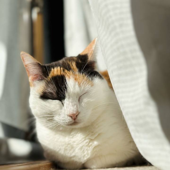 36a50027 696a 41bf bafd e4414506308f 1677373971218