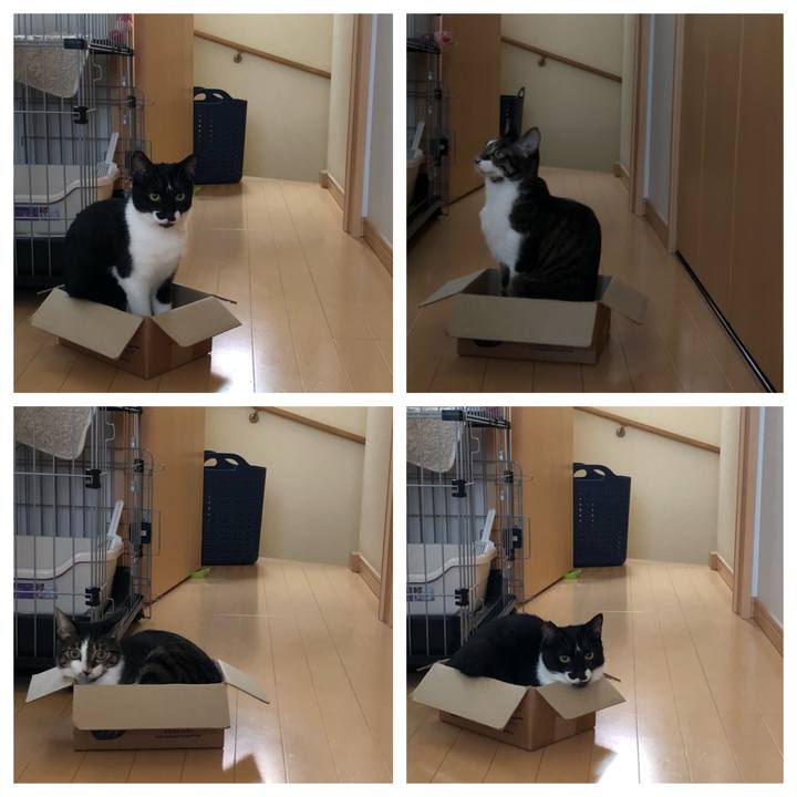 36a53723 2801 49bd 8f4a 792fa7c9accc 1536985777153