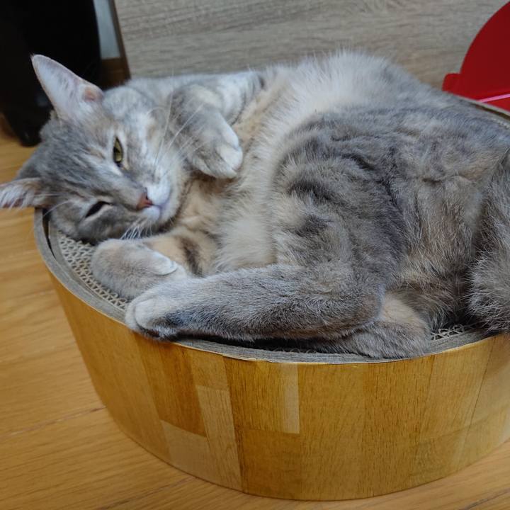 36a55266 ecb0 48b2 b818 878c551b0b64 1552963761946