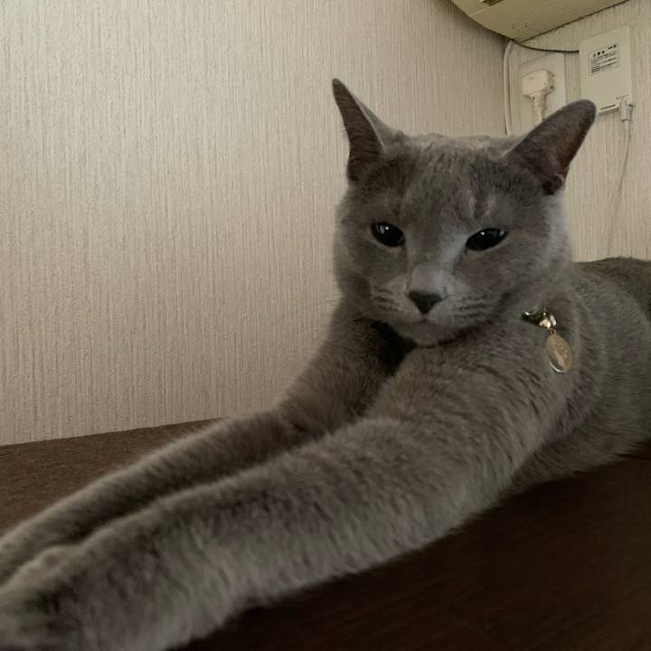 36a55896 4839 4bb0 9631 8c73b4056515 1675382937113