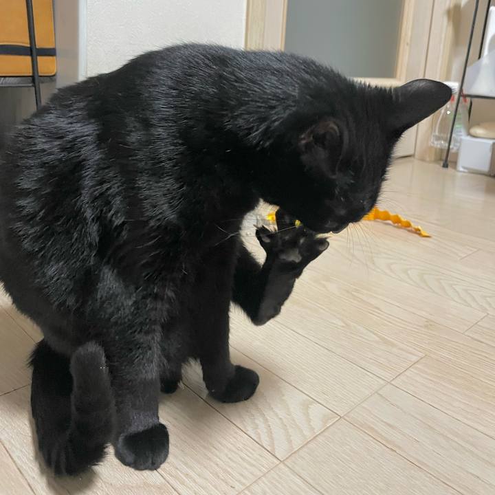 36a55c8f 7198 4719 a7ca 45a4534e0209 1705060670050