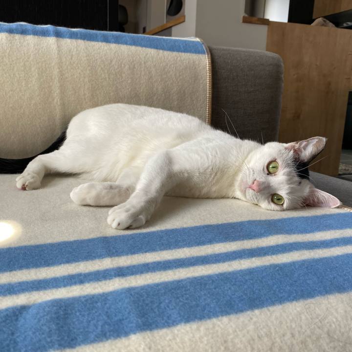 36a56723 517c 4791 8225 294b8645dce3 1728182444933