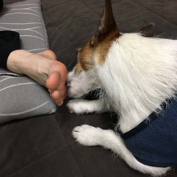 36a583ff 5277 4731 bf5a ae4bbb0f19e5 1557977389350